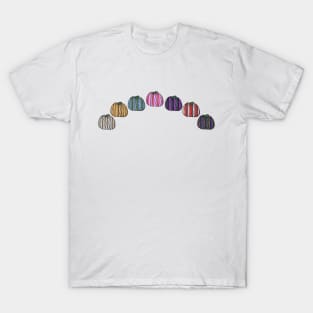 Colored Stripes Pumpkin Arc T-Shirt